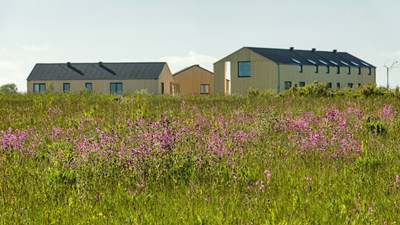 In the Middle of Nature - Ringkøbing K