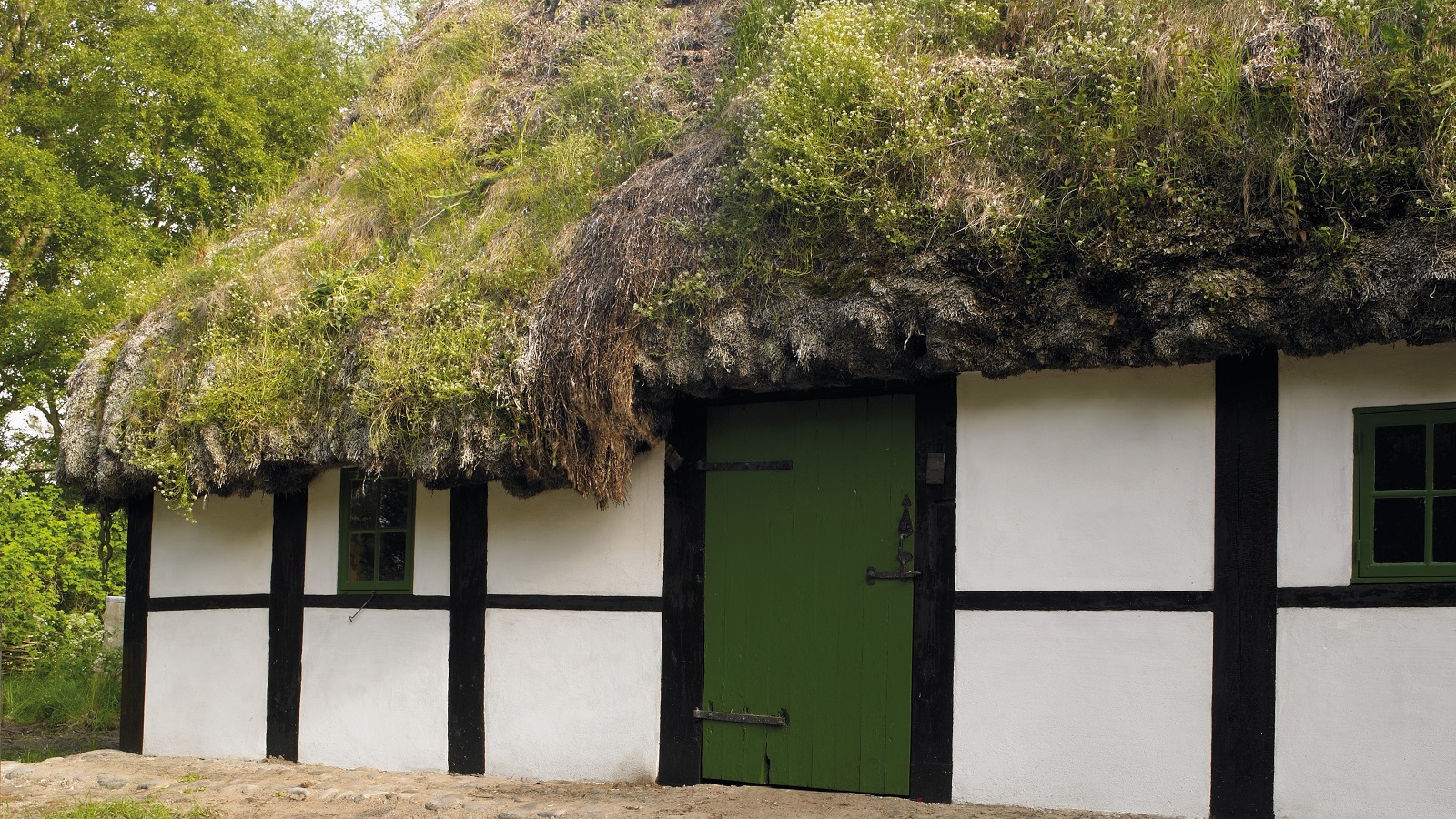 Seaweed roof / Credit: Helene Høyer Mikkelsen